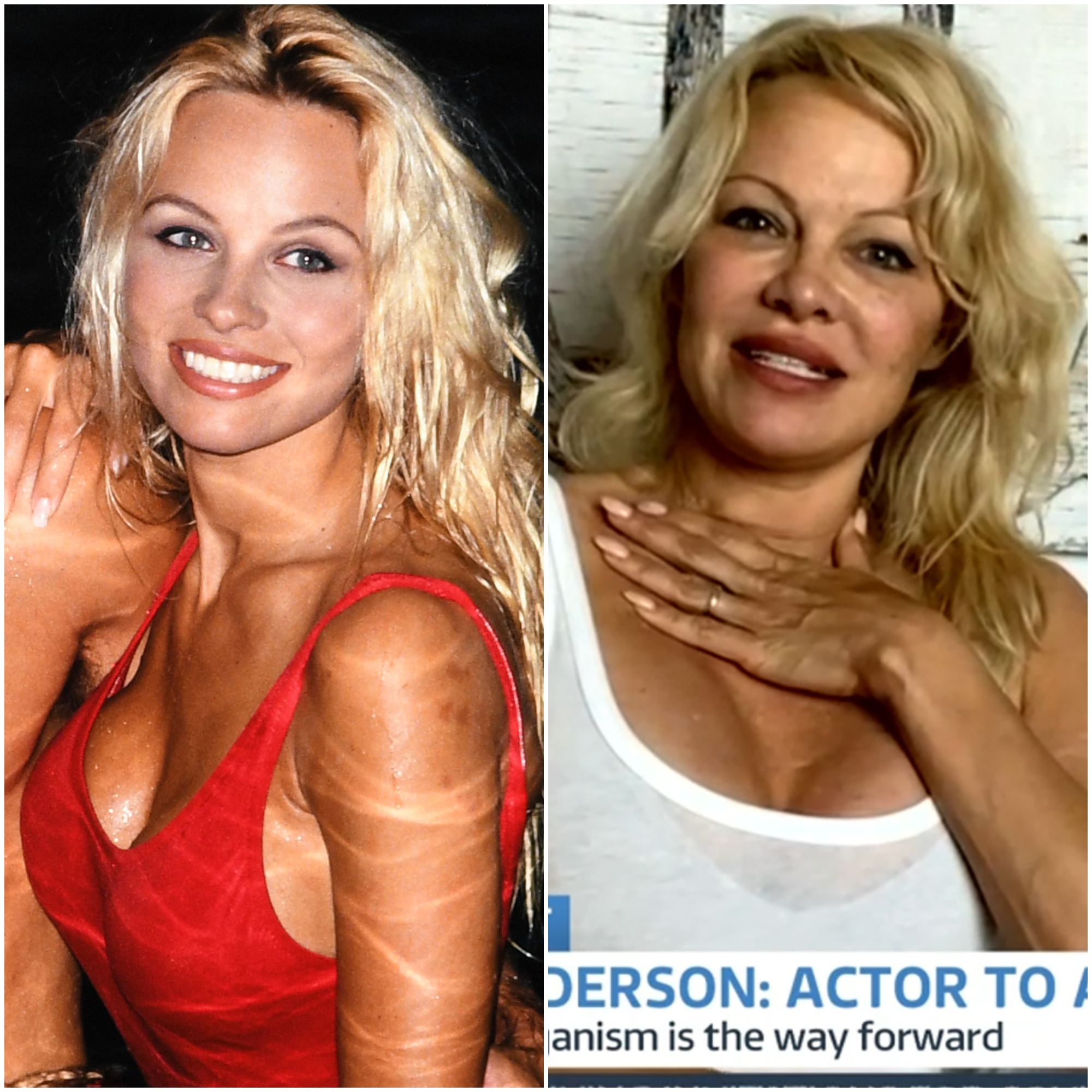Best Pamela Anderson Images On Pinterest Babe Beautiful